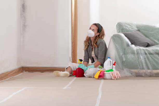 Reliable Mold Remediation contractor in Annapolis, MD by WQB Mold Removal